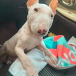 胡先生的头像-阿夹克斯